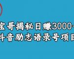 宝哥揭秘日赚3000+抖音励志语录号短视频变现项目