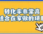 小红书虚拟电商项目：从小白到精英（视频课程+交付手册）