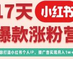 17天小红书爆款涨粉营（广告变现方向），教你打造小红书博主IP、接广告变现的