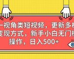 第一视角类短视频，更新多样化变现方式，新手小白无门槛操作，日入500+【揭秘】