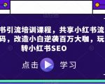 小红书引流培训课程，共享小红书流量密码，改造小白逆袭百万大咖，玩转小红书SEO