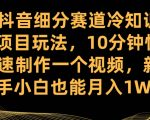 抖音细分赛道冷知识项目玩法，10分钟快速制作一个视频，新手小白也能月入1W+【揭秘】