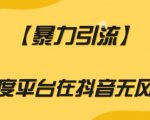 【暴力引流】利用百度平台在抖音无风险引流【揭秘】