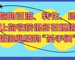 打造你的引流、转化、团队系统，让你收获很多引爆流量、翻倍业绩的“杀手锏”