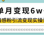 单月变现6W+，抖音情感粉引流变现实操课，小白可做，轻松上手，独家赛道【揭秘】