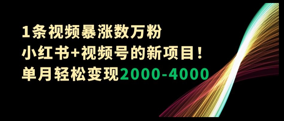 1条视频暴涨数万粉&#8211;小红书+视频号的新项目！单月轻松变现2000-4000【揭秘】