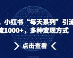 流量密码，小红书“每天系列”引流，日引流1000+，多种变现方式【揭秘】