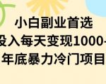 小白副业首选，0成本投入，每天变现1000-2000年底暴力冷门项目【揭秘】