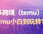 拼多多跨境（temu）课程，从Temu小白到玩转Temu