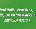 2024劲爆项目，快手磁力，小熊请上车撸金，高转化高收益方法，批量操作日入1000+【揭秘】