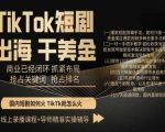 TikTok短剧出海干美金，商业已经闭环抓紧布局，抢占关键词抢占排名