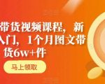 AI图文带货视频课程，新人基础入门，1个月图文带货6w+件