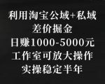 利用淘宝公域+私域差价掘金，日赚1000-5000元，工作室可放大操作，实操稳定半年【揭秘】