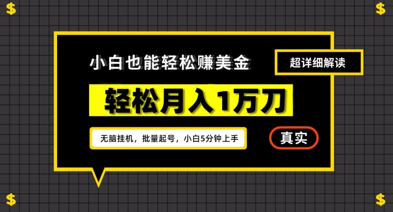 谷歌看广告撸美金2.0，无脑挂机，多号操作，月入1万刀【揭秘】