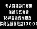 无人直播冷门赛道，商品形式更新，18种变现思路，一件商品赚取收益10000+【揭秘】