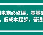 淘系虚拟电商必修课，零基础搞定原始积累，低成本起步，普通人可干