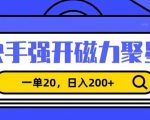 信息差赚钱项目，快手强开磁力聚星，一单20，日入200+【揭秘】