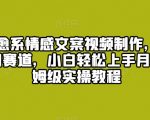 爆火治愈系情感文案视频制作，流量密码，冷门赛道，小白轻松上手月入过万保姆级实操教程【揭秘】