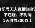 音乐号无人直播赚音浪，不违规、不封号，1天收益300+【揭秘】