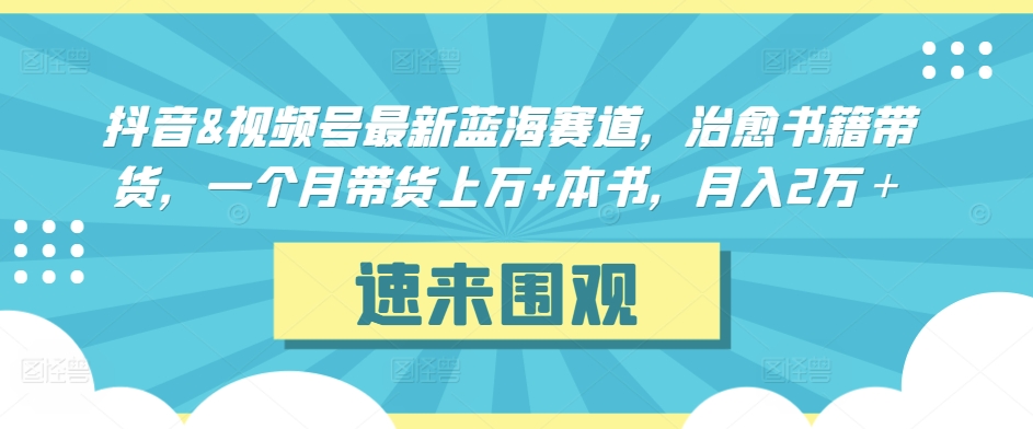 抖音&#038;视频号最新蓝海赛道，治愈书籍带货，一个月带货上万+本书，月入2万＋【揭秘】