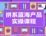 拼系冷门蓝海产品实操课程，从注册店铺到选品上架到流量维护环环相扣