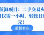 闲鱼蓝海项目：二手交易火爆，每日仅需一小时，轻松日赚千元【揭秘】