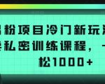 男粉项目冷门新玩法，售卖私密训练课程，一天轻松1000+【揭秘】