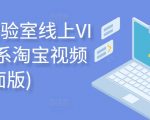 电商实验室线上VIP，淘系淘宝视频课(全面版)