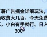 小红薯广告掘金详细玩法，外面收费大几百，小白有手就行，日入300+【揭秘】