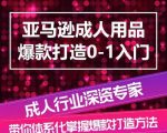 亚马逊成人用品爆款打造0-1入门，系统化讲解亚马逊成人用品爆款打造的流程