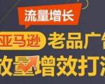 亚马逊流量增长-老品广告放量增效打法，循序渐进，打造更多TOP listing​