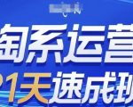 淘系运营21天速成班(更新24年5月)，0基础轻松搞定淘系运营，不做假把式