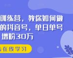 抖音实训训练营，教你如何做一个赚钱的抖音号，单日单号增粉30万