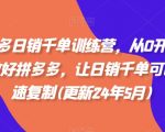 拼多多日销千单训练营，从0开始带你做好拼多多，让日销千单可以快速复制(更新24年6月)