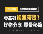 短视频母婴赛道实操流量训练营，零基础视频带货，好物分享，爆量秘籍