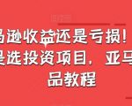 亚马逊收益还是亏损！选品就是选投资项目，亚马逊选品教程