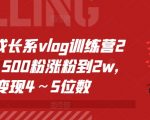 个人成长系vlog训练营2期，从500粉涨粉到2w，变现4～5位数