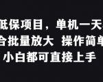 稳定低保项目，单机一天50+适合批量放大 操作简单 小白都可直接上手【揭秘】