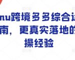 Temu跨境多多综合运营指南，更真实落地的实操经验