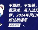 不露脸，不出镜，玩转找茬游戏，月入过万不是梦，2024年风口爆发，抓住机遇【揭秘】