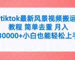 tiktok最新风景视频搬运教程 简单去重 月入3W+小白也能轻松上手【揭秘】