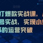 小红书打爆款实战课，从0到1起号实战，实现小红书的运营突破