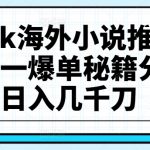 TikTok海外小说推文项目，榜一爆单秘籍分享，日入几千刀