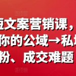 爆款短文案营销课，一次解决你的公域→私域涨粉、成交难题