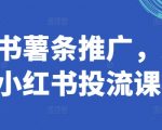 小红书薯条推广，少有的小红书投流课程