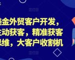 百万美金外贸客户开发，外贸主动获客，精准获客系统思维，大客户收割机