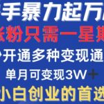 快手暴力起万粉，涨粉只需一星期，多种变现模式，直接秒开万合，单月变现过W【揭秘】