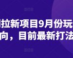 短剧拉新项目9月份玩法方向，目前最新打法