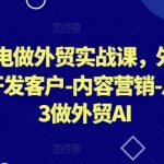 AI闪电做外贸实战课，​外贸建站-开发客户-内容营销-从0到3做外贸AI（更新）