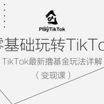 零基础玩转TiKToK变现课，TikTok最新撸基金玩法详解